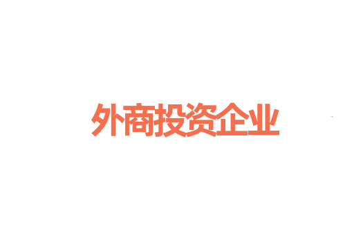 外商投资企业