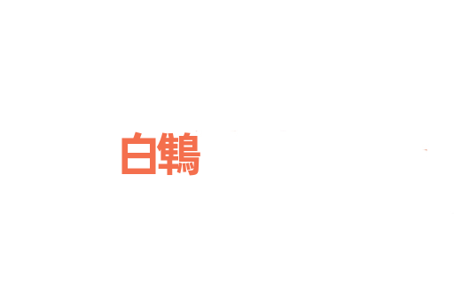 白鶽