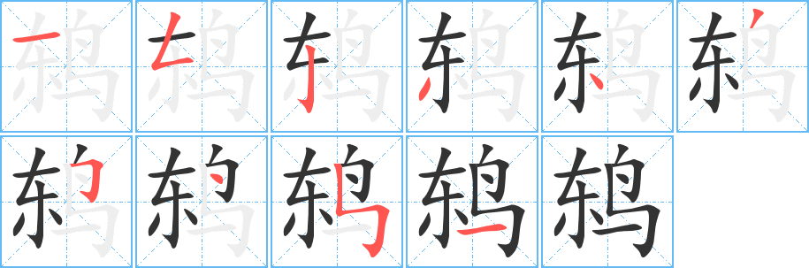 鸫的笔顺分步演示